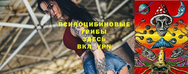 бошки Богданович