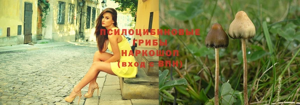 скорость Богородицк